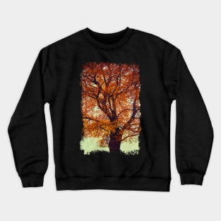 Beech Tree In Fall Colors Crewneck Sweatshirt